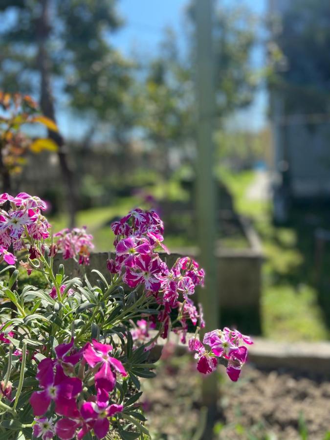 Villa Osmani Durrës Kültér fotó