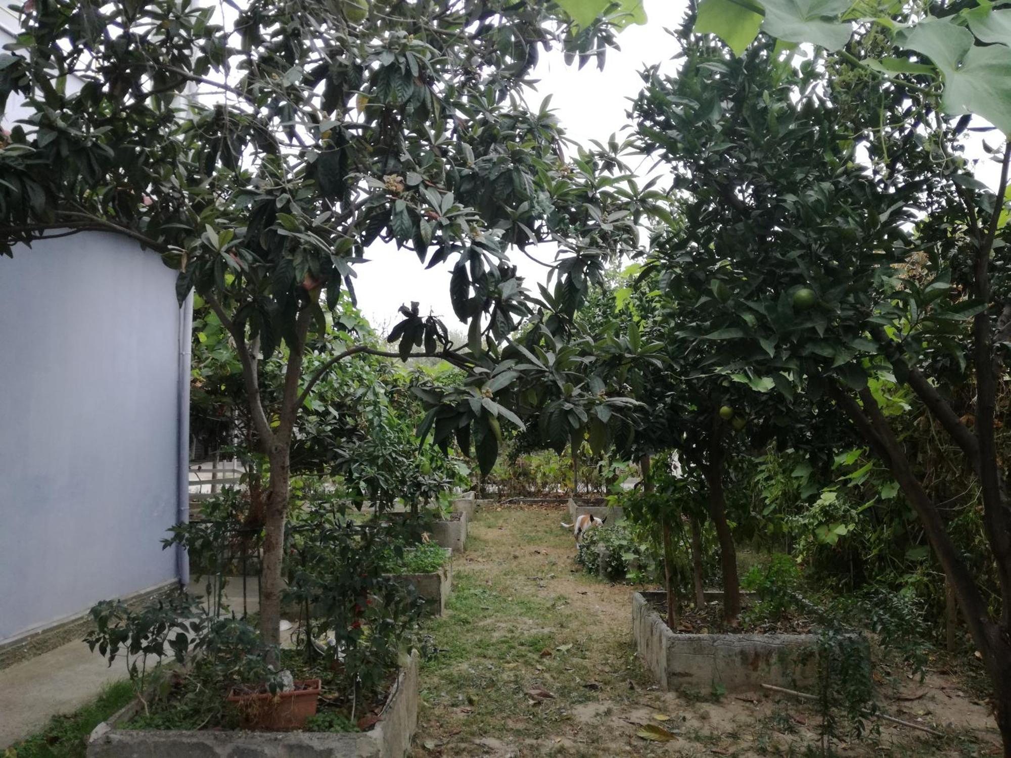 Villa Osmani Durrës Kültér fotó